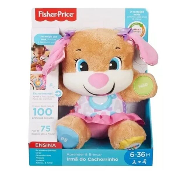 Irmã do Cachorrinho Aprendendo a Brincar - Fisher Price - FVC81