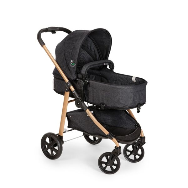 Carrinho Moisés Extreme Vita Verde Gold c/ Bebê Conforto - Galzerano - 1441VVGL